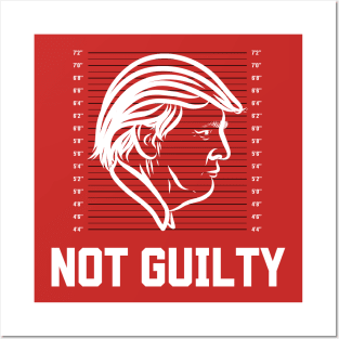 Trump Mugshot Posters and Art